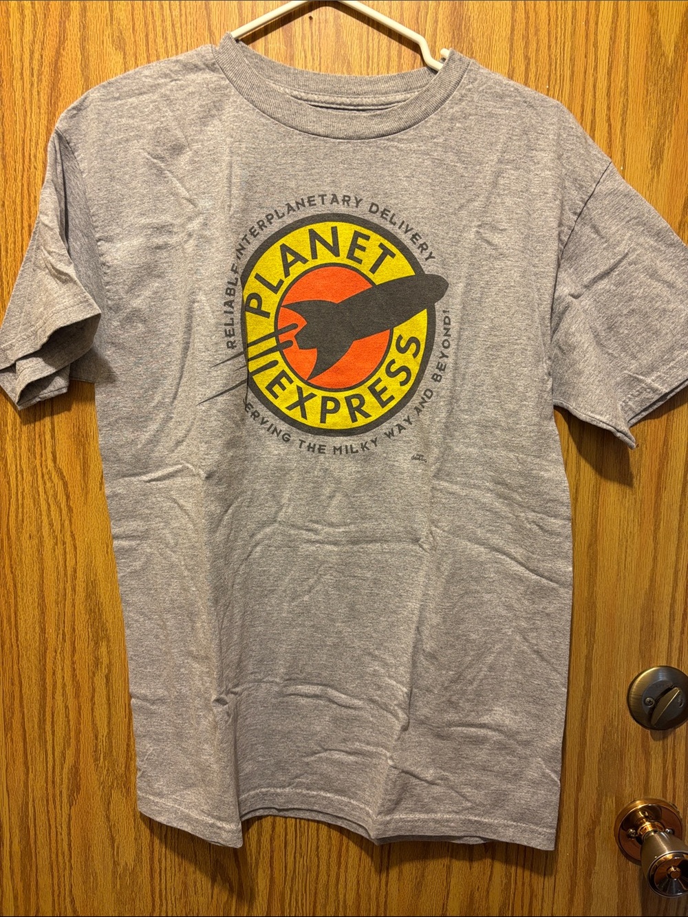 Planet Express Graphic Tee - Gray